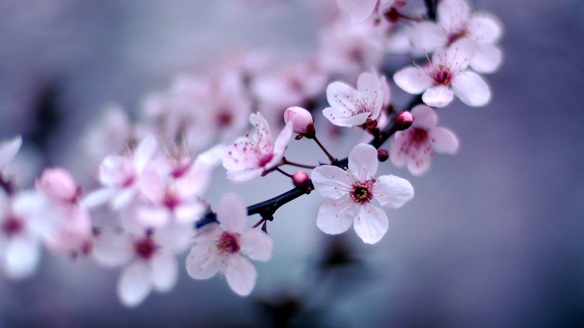 Nua dau nam 2023, 3 con giap boc lo tai nang-Hinh-2