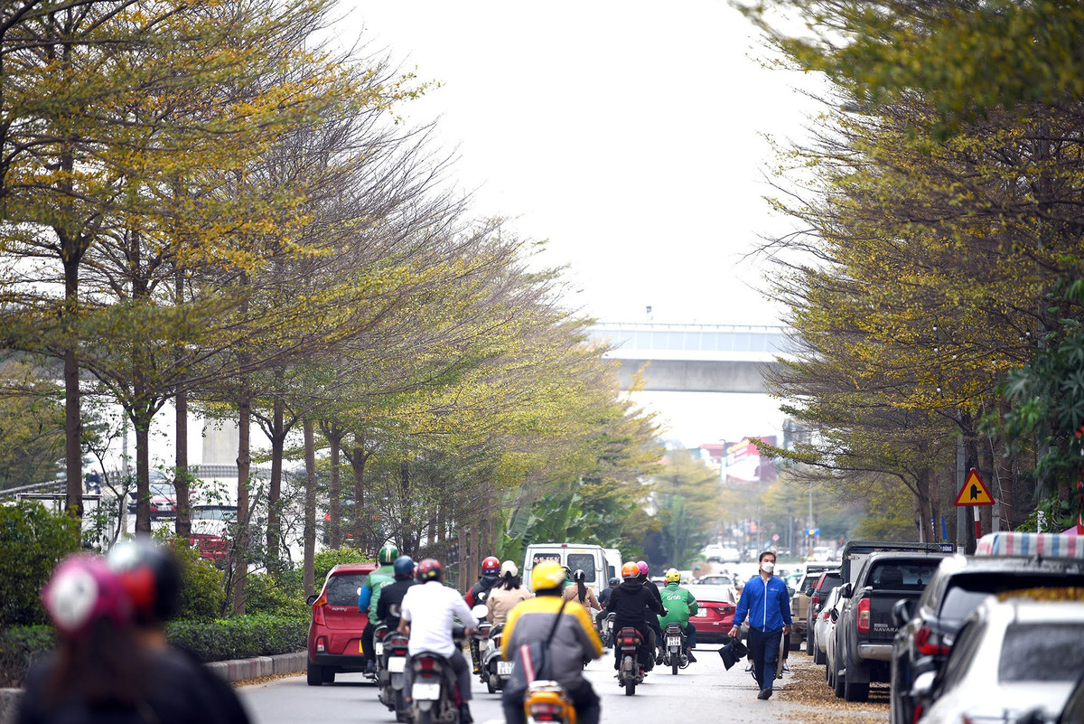 Du bao thoi tiet ngay 22/2: Khong khi lanh sap ve, mien Bac nhieu may