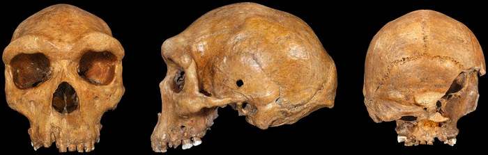 Tai sao lai co lo dan xuat hien tren cac hop so tien su?-Hinh-3