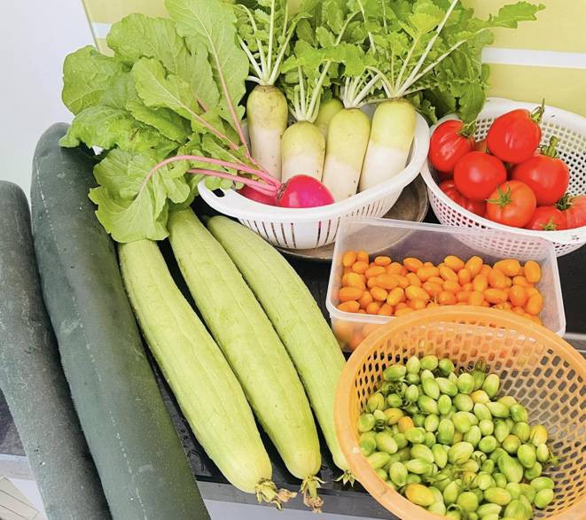 Bi quyet cai tao san thuong 20m2 de trong rau chi voi 5 trieu-Hinh-12