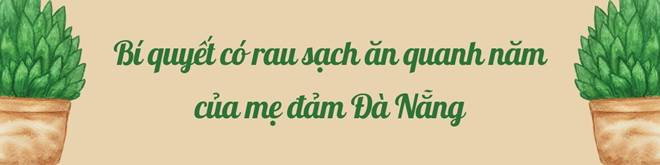 Bi quyet cai tao san thuong 20m2 de trong rau chi voi 5 trieu-Hinh-6