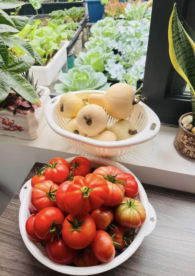 Bi quyet cai tao san thuong 20m2 de trong rau chi voi 5 trieu-Hinh-11