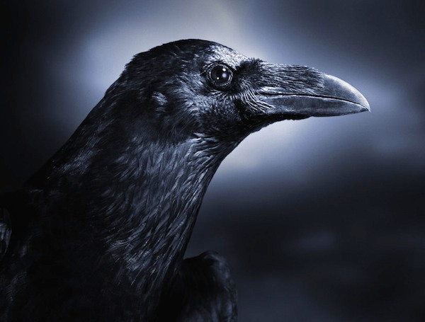 Phần kết. Những câu nói này dường như là cách con người bảo vệ môi trường và bản thân, đây là điều mà người xưa đã học được qua quan sát và trải nghiệm, đồng thời là lời cảnh báo cho thế hệ mai sau.