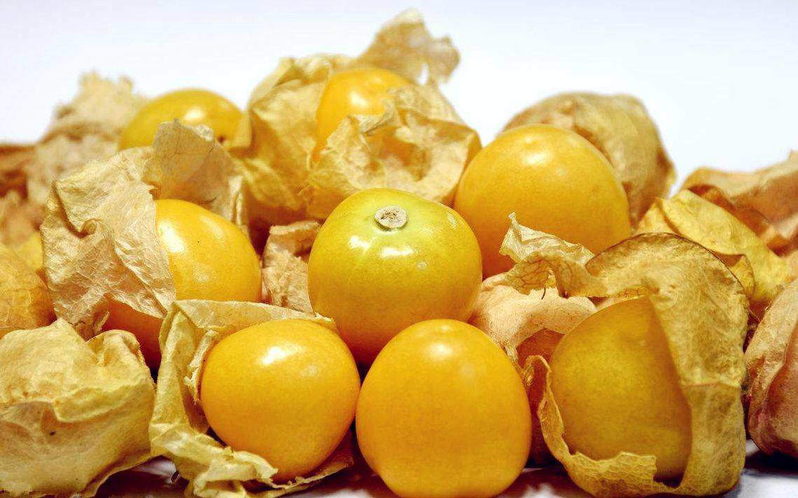 Loại quả mọc dại ở nhiều miền quê hóa ra lại cực bổ dưỡng Loai qua moc dai o nhieu mien que hoa ra lai cuc bo duong