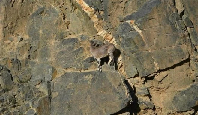 Dieu gi khien chuyen gia thot len 'suy thoai ban nang' cua con nguoi la tot-Hinh-2