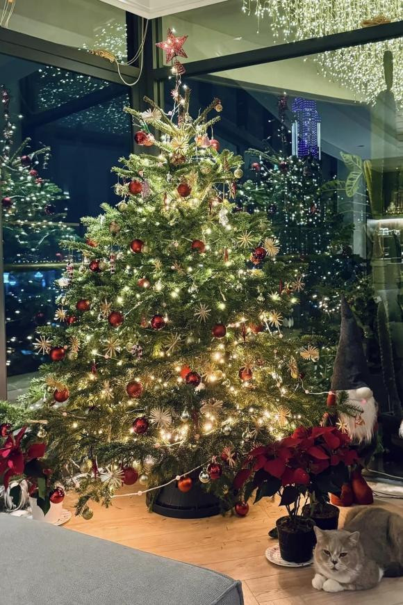 Minh Tú cùng bạn trai Tây đi mua cây thông, trang trí nhà cửa.