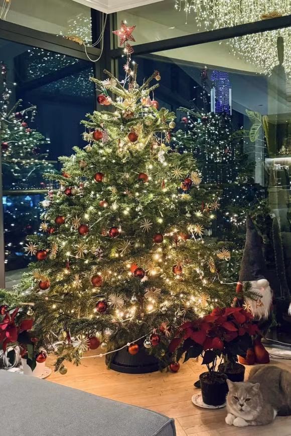 Minh Tú cùng bạn trai Tây đi mua cây thông, trang trí nhà cửa.