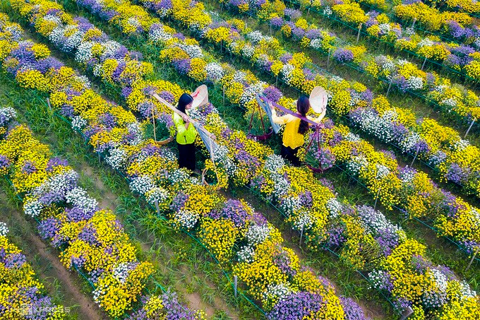 Bo tien ty trong hoa lam du lich