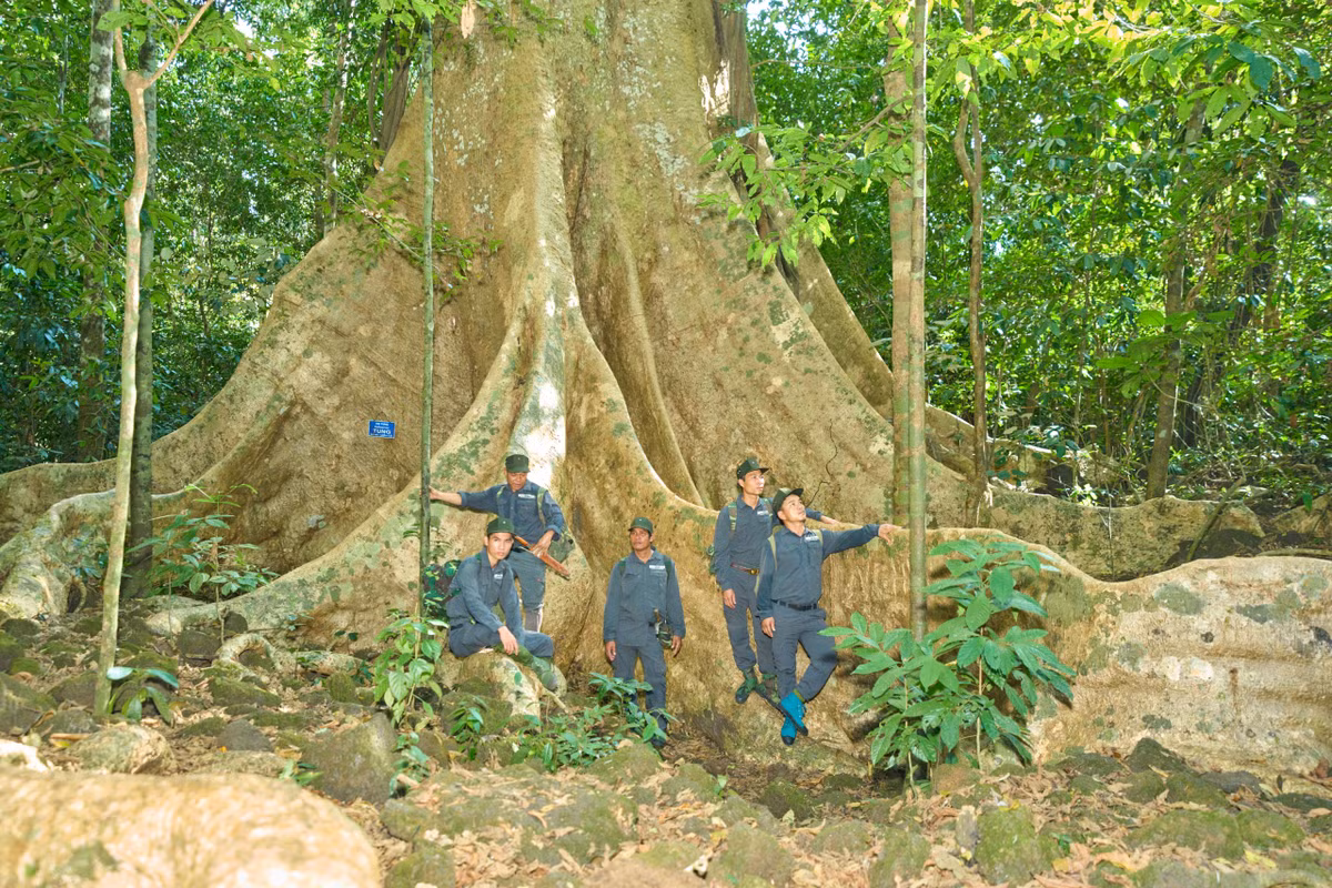 Can canh rung hoang da Cat Tien lon nhat Tay Nguyen-Hinh-13