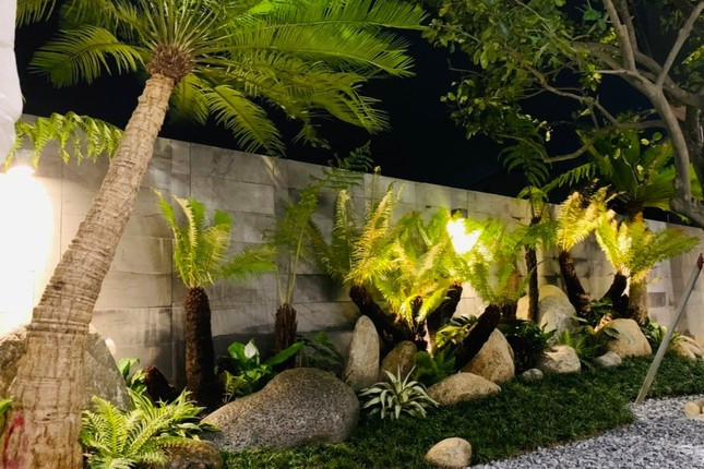 Tết năm nay, nhiều người biết và đặt mua dương xỉ để trang trí nhà cửa thay cho các loại hoa thông thường. “Tết này, tôi đã đặt mua 4 cây dương xỉ để trang trí sảnh nhà. So với các loài cây như quất, đào,... thì dương xỉ chơi được quanh năm lại phù hợp với túi tiền”, anh Trần Văn Khoa (trú phường Vinh Tân, TP Vinh) cho biết.