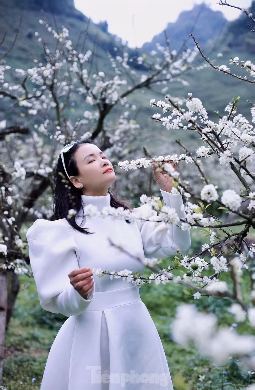 Say dam rung hoa man trang tinh khoi tren cao nguyen Moc Chau-Hinh-8