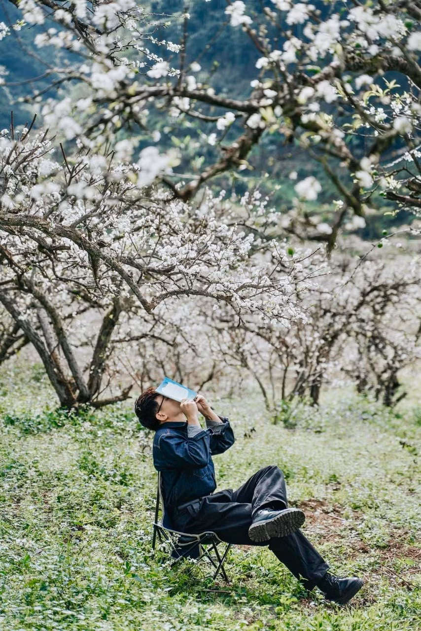 Say dam rung hoa man trang tinh khoi tren cao nguyen Moc Chau-Hinh-9