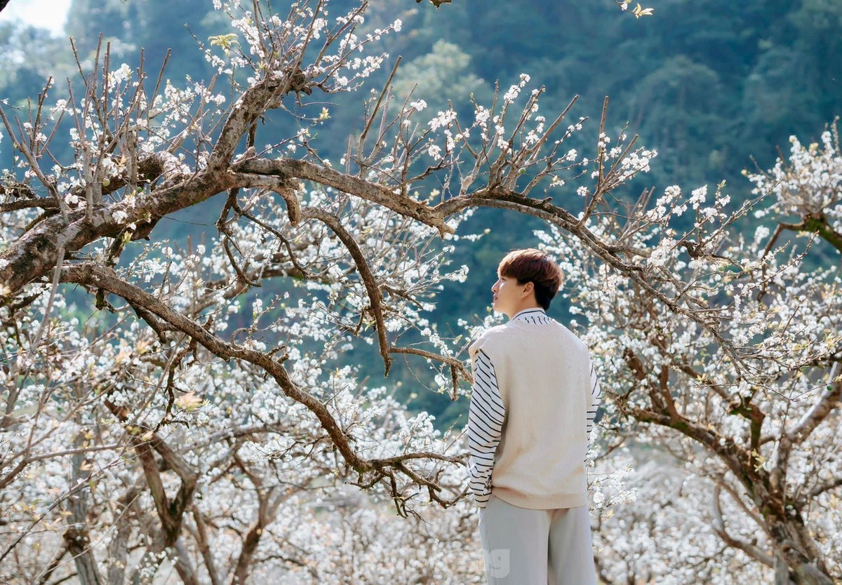 Say dam rung hoa man trang tinh khoi tren cao nguyen Moc Chau-Hinh-4