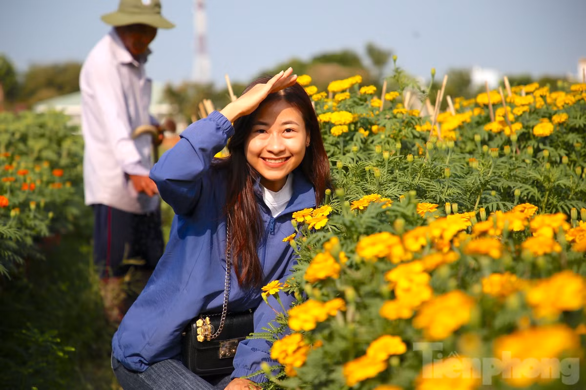 Ngoài người đến mua hoa về chơi Tết, thì cũng có nhiều du khách đến với Cần Thơ, đã ghé thăm làng hoa Phó Thọ - Bà Bộ để chiêm ngưỡng, lưu lại những tấm ảnh kỷ niệm.