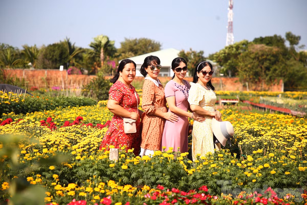 Nhiều người chụp ảnh lưu niệm tại làng hoa Phó Thọ - Bà Bộ (quận Bình Thuỷ, TP. Cần Thơ).