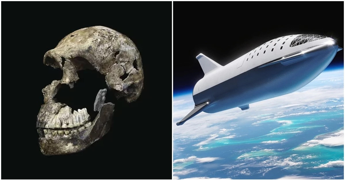 Hóa thạch xương người 2 triệu tuổi bay vào vũ trụ ảnh 1 Hóa thạch xương người 2 triệu tuổi bay vào vũ trụ ảnh 1