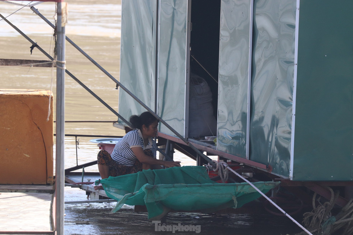 Nước sông dâng cao nhấn chìm các bụi cây tạo nơi trú ngụ cho các loài thủy sản. Những ngày này, người dân hầu như không thể đánh bắt được loại thủy sản nào.