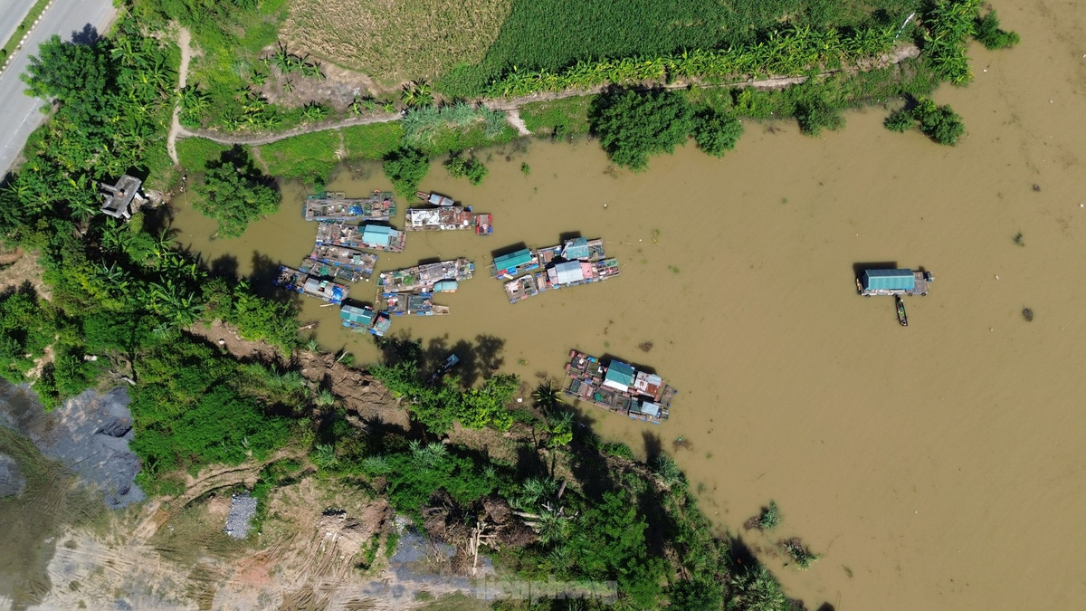 Những lồng bè nuôi cá của các hộ dân xóm vạn chài được di dời đến khu vực nước lặng. Tuy vậy vẫn không tránh khỏi những mất mát.