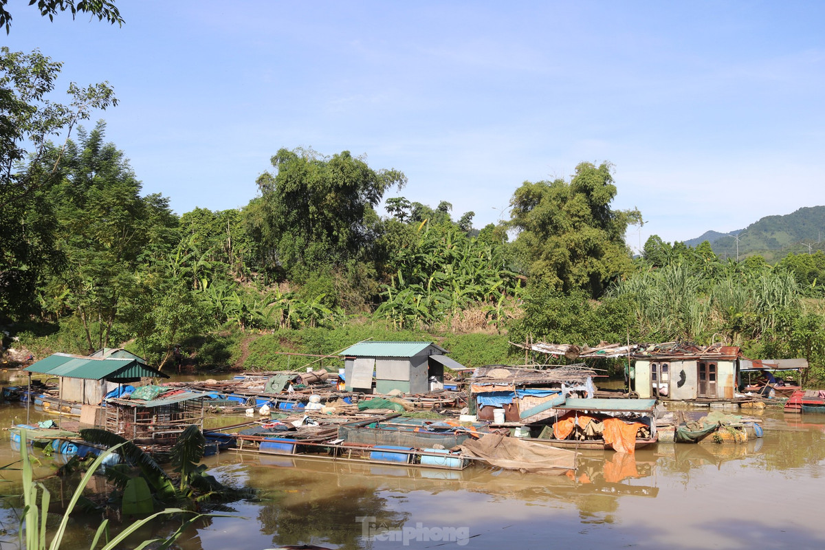 "Vào cuối tháng 7, khi thủy điện Hòa Bình mở cửa xả đáy thứ 4, gia đình tôi bị chết khoảng 500 – 600kg cá lăng đen, do cá bị sốc nước. Sau khi cá chết, gia đình phải bán gần 1 tấn cá lăng đen đang nuôi vì sợ để lâu sẽ bị chết. Cứ mỗi khi thủy điện xả lũ, chúng tôi buộc phải di chuyển lồng bè đến nơi an toàn”, ông Ngô Văn Thị, người dân xóm vạn chài ngậm ngùi kể.