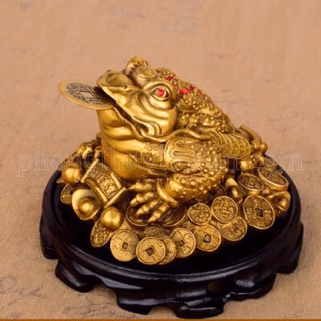 Dat vat nay trong nha, cuoc song may man, vuong phat vo cung