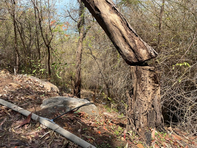 Nghi pham sat hai co gai, phan thi the nhet vao vali khai gi?-Hinh-2