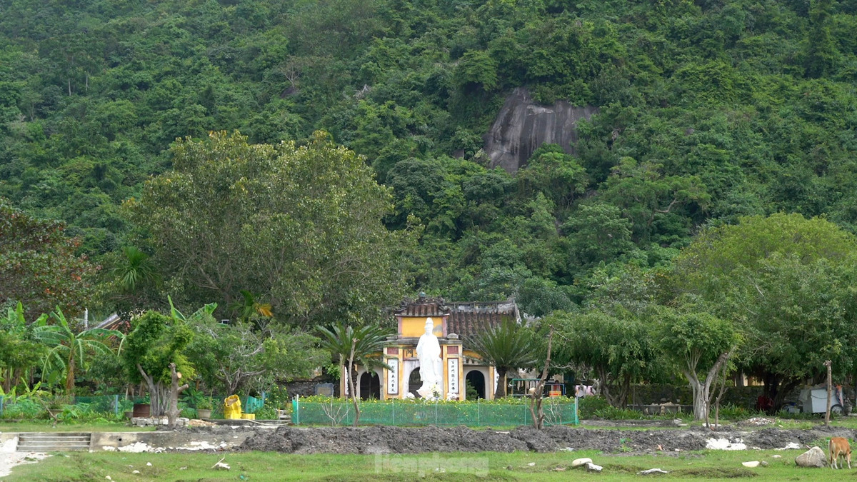 Chùa Hải Tạng tọa lạc tại khu vực xóm Cấm, bãi Làng, Cù Lao Chàm, thuộc xã Tân Hiệp (TP Hội An, tỉnh Quảng Nam).