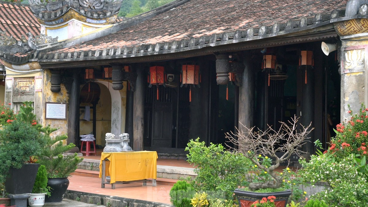 Nằm trên hòn đảo hoang sơ, sở hữu cảnh sắc thiên nhiên hùng vĩ, bình yên, thơ mộng, chùa Hải Tạng hiện đã trở thành địa điểm du lịch trong chương trình khám phá Hội An nổi tiếng, được nhiều du khách ghé thăm.