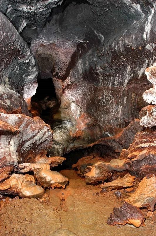 Có thể mất nhiều năm để ống dung nham đủ nguội để hỗ trợ sự sống, vì vậy nhiều sinh vật sống trong hang động phụ thuộc vào thực vật để lấy thức ăn nên có khả năng hang động chưa hoàn toàn có người sinh sống cho đến khi những loài thực vật này đã hình thành trên bề mặt phía trên.