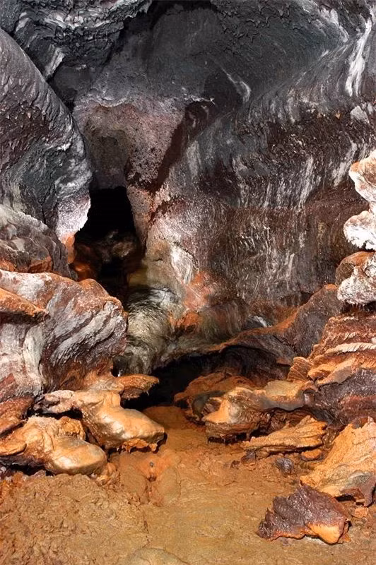 Có thể mất nhiều năm để ống dung nham đủ nguội để hỗ trợ sự sống, vì vậy nhiều sinh vật sống trong hang động phụ thuộc vào thực vật để lấy thức ăn nên có khả năng hang động chưa hoàn toàn có người sinh sống cho đến khi những loài thực vật này đã hình thành trên bề mặt phía trên.