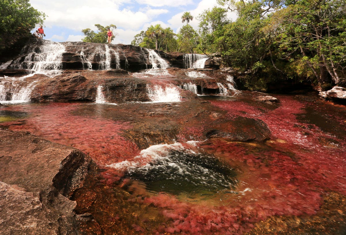 Sông Cano Cristales ở Colombia đôi khi được gọi là "Cầu vồng lỏng" và "Dòng sông 5 màu". Màu đỏ của dòng sông đến từ một loại cây có tên là Macarenia clavigera nở từ tháng 9 đến tháng 11. Cát vàng và xanh lá cây cũng mang lại cho Cano Cristales cách phối màu cầu vồng.