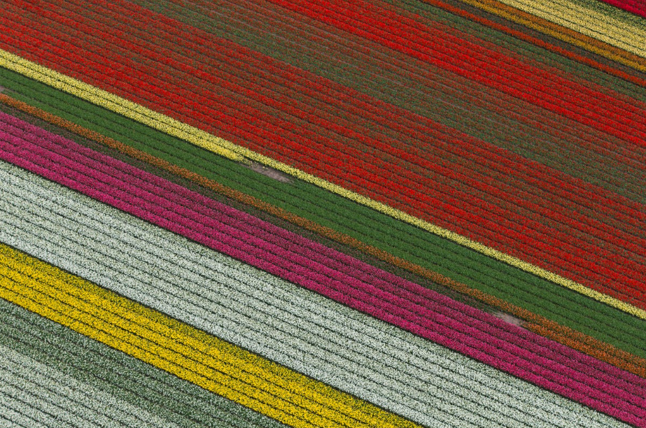 Cánh đồng hoa của Keukenhof là do con người tạo ra, nhưng những đường hoa đầy màu sắc lại là sự kết hợp đầy hoàn hảo của những cánh đồng hoa. Mỗi mùa xuân, công viên Keukenhof ở Hà Lan nở rộ với hàng triệu bông hoa tulip, cũng như lục bình, thủy tiên và các loài hoa khác.