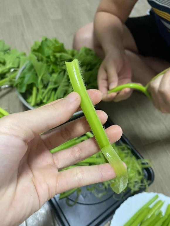 Meo hay do mat thoi gian khi lam mon rau bi xao toi-Hinh-2