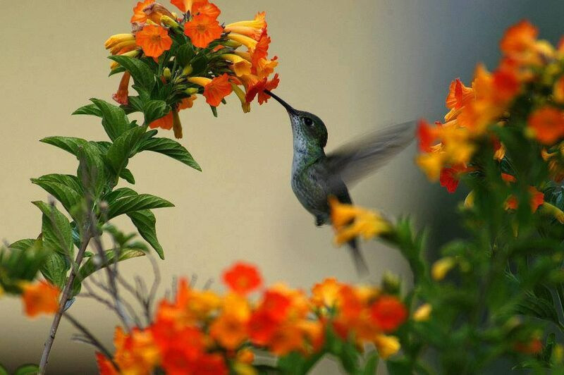 4 con giap phuc loc tu be, gia dinh sum hop sung tuc-Hinh-2