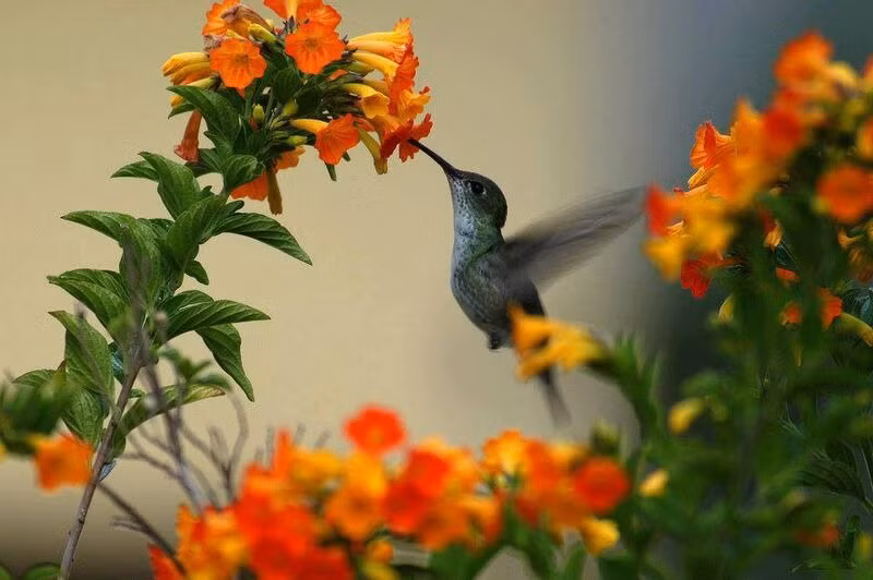 4 con giap phuc loc tu be, gia dinh sum hop sung tuc-Hinh-2