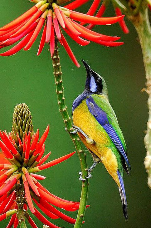 4 con giap phuc loc tu be, gia dinh sum hop sung tuc-Hinh-3