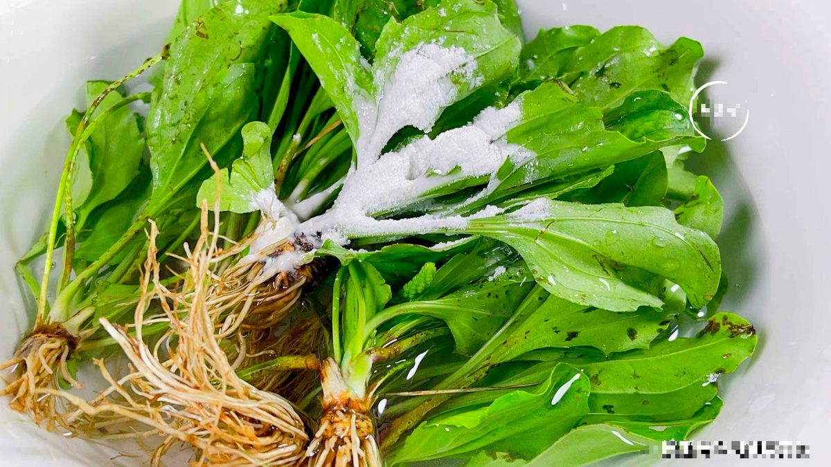 Loai rau dai moc khap noi hoa ra la thuoc quy, loi tieu, loi mat-Hinh-4