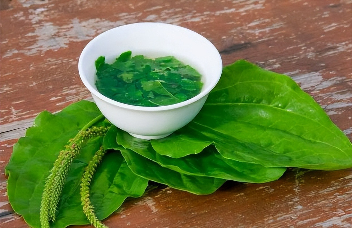 Loai rau dai moc khap noi hoa ra la thuoc quy, loi tieu, loi mat-Hinh-3