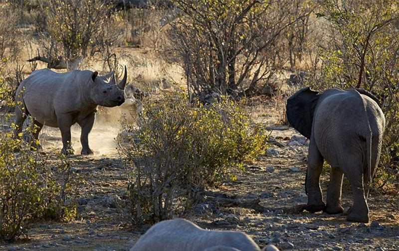 Kết thúc cuộc chiến, không có kẻ thắng người thua.