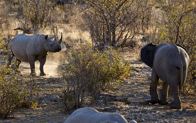 Kết thúc cuộc chiến, không có kẻ thắng người thua.