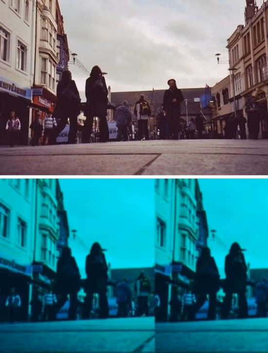 The gioi trong nhu the nao qua mat cac loai dong vat-Hinh-5