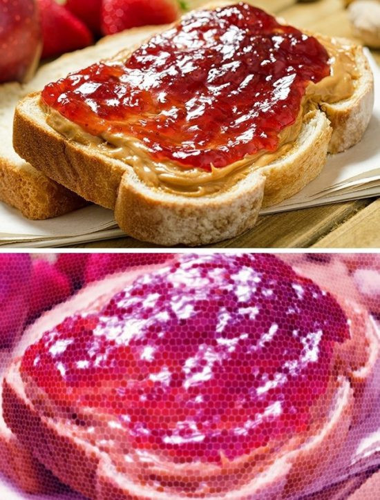 The gioi trong nhu the nao qua mat cac loai dong vat-Hinh-7