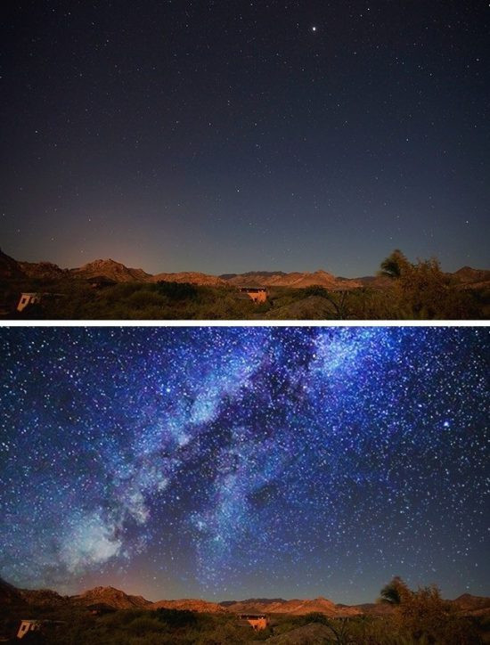 The gioi trong nhu the nao qua mat cac loai dong vat-Hinh-10