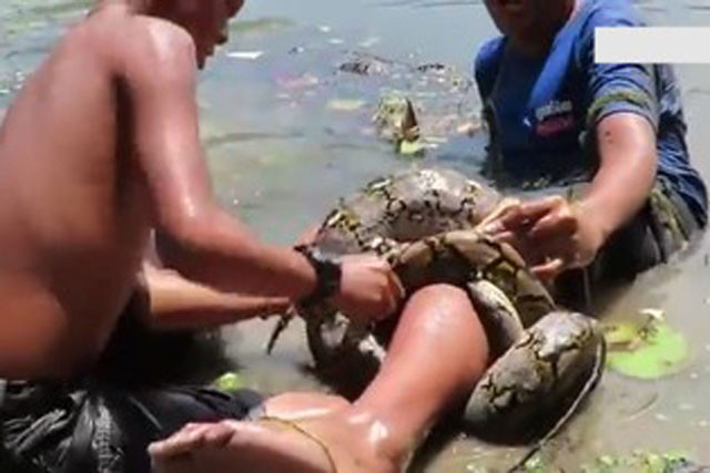 Video: Suyt mat mang vi bi tran khong lo cuon chat khi loi duoi ho