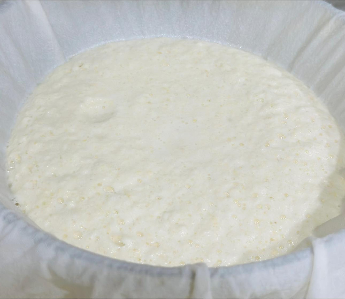 Loai hat duoc coi la “thit khong xuong”, “than duoc” lam dep-Hinh-3