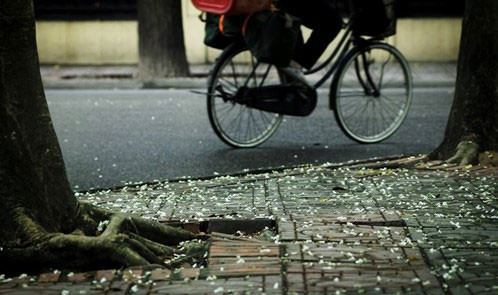 Hà Nội vẫn nhiều mây, đêm và sáng duy trì mưa phùn và sương mù nhẹ. (Ảnh minh họa)