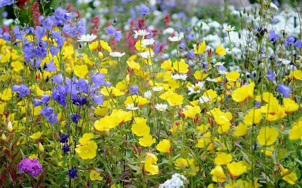 Ai sinh tháng Âm này, cuộc đời thăng trầm, vinh hoa phú quý không tự đến - Hình 5 Ai sinh thang Am nay, cuoc doi thang tram, vinh hoa phu quy khong tu den-Hinh-5