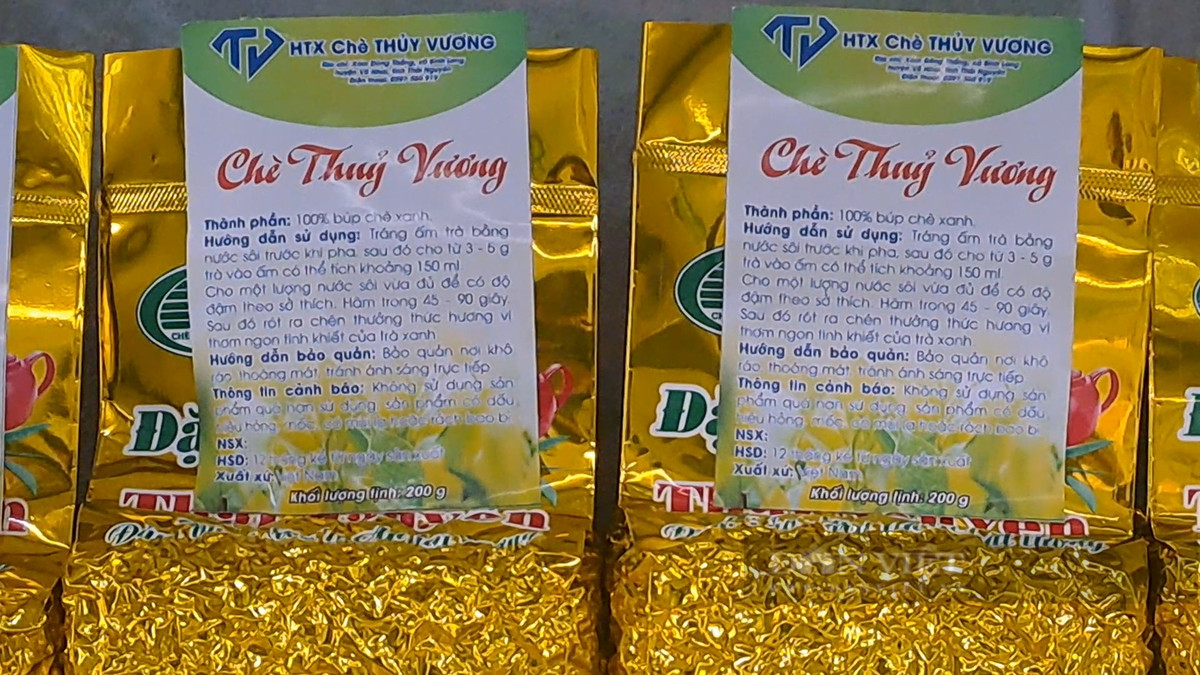 Thái Nguyên: Trồng chè sạch giúp nông dân tăng thu nhập - Hình 3 Thai Nguyen: Trong che sach giup nong dan tang thu nhap-Hinh-3