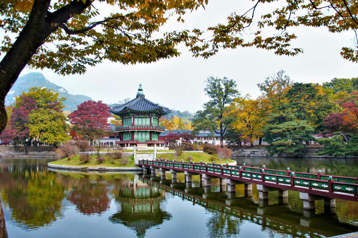 Khu vườn thượng uyển của Gyeongbokgung nổi tiếng là đẹp, là nơi thu hút nhiều người dân và du khách đến ngoạn cảnh. Ảnh: Pexels.