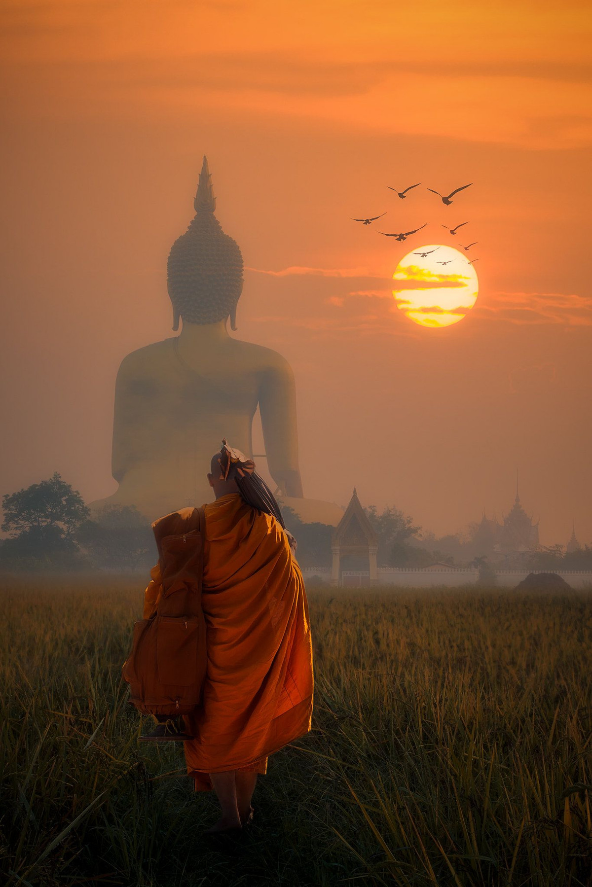 12 hạnh đó gồm: 1 - Y phục làm bằng những mảnh vải rách. 2 - Chỉ dùng ba y. 3 - Khất thực mà ăn. 4 - Chỉ ăn một bữa vào giờ trưa. 5 - Không ăn quá no. 6 - Không giữ tiền bạc...