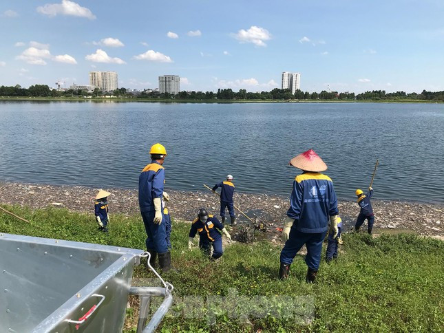Theo một số công nhân, công việc này đã tiến hành vài ngày nay, tuy nhiên, chưa vớt được hết lượng rác thải và xác cá chết ở hồ. Ảnh: Trường Phong